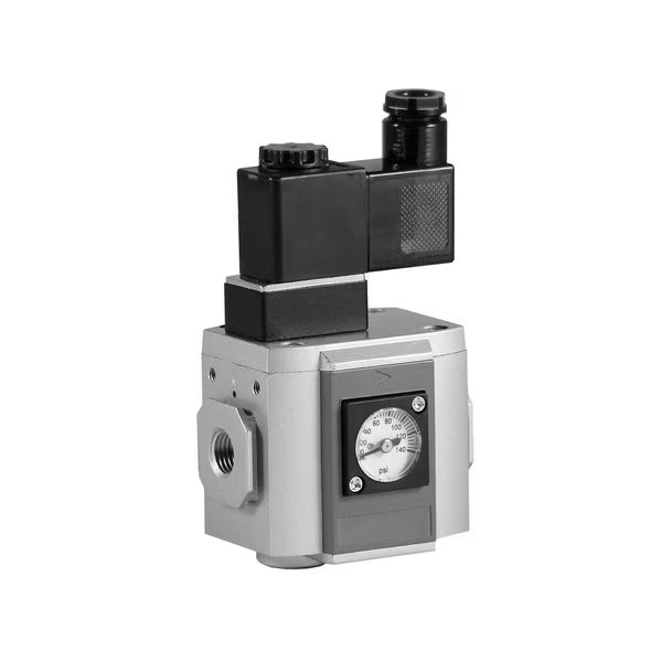 Bimba-Mead Soft Start Valve MGV300-08-T-24VDC, 1/4